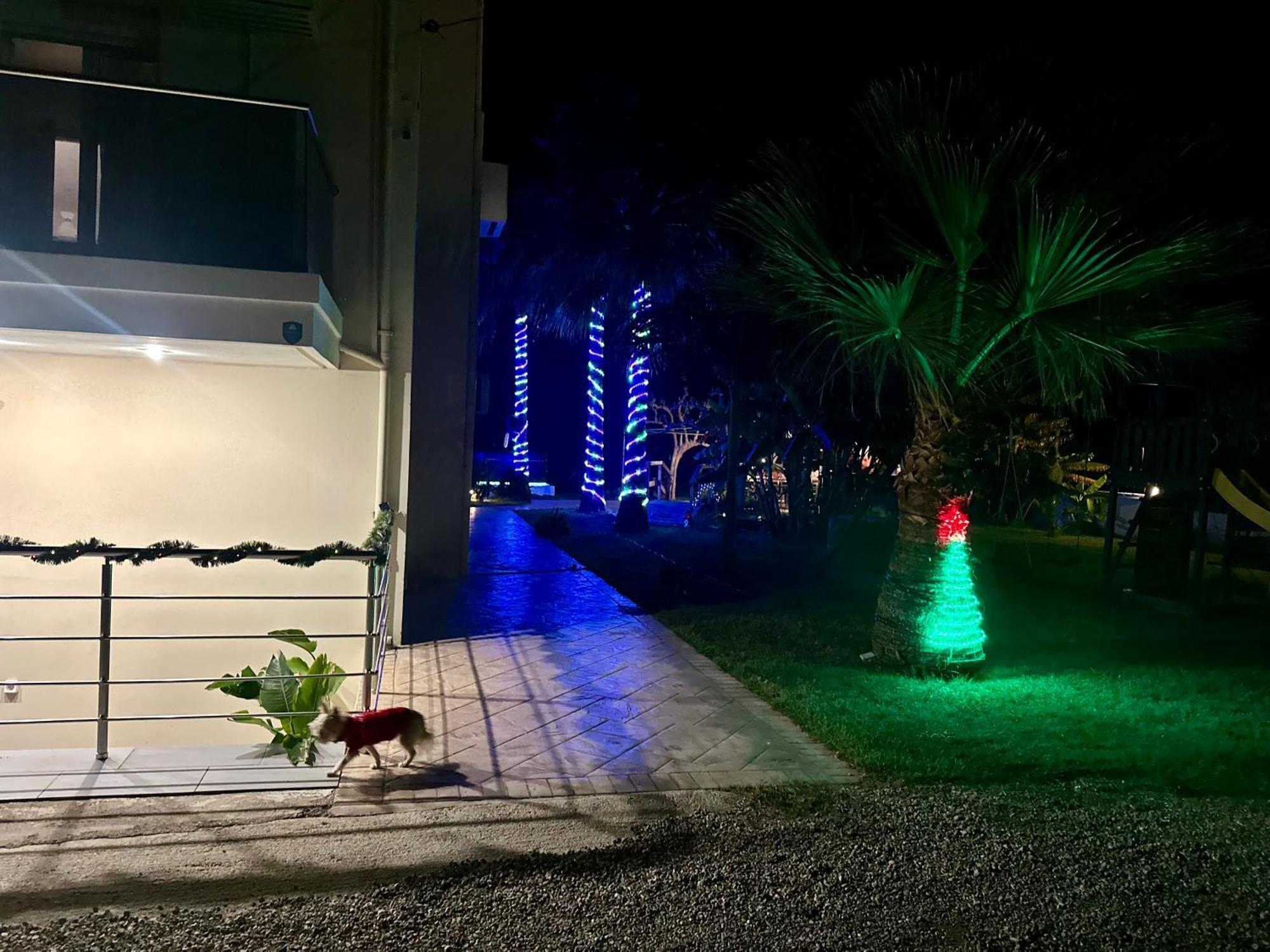Martimi Apartments - 200M From Drapanias Beach - Pool - Hot Tub - Sauna - Bbq กิสเซมอส ภายนอก รูปภาพ